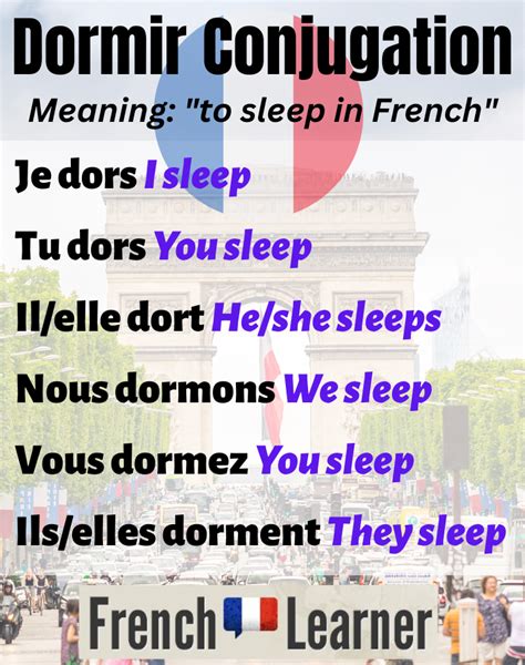 dormir conjugation french|dormir vervoegen frans.